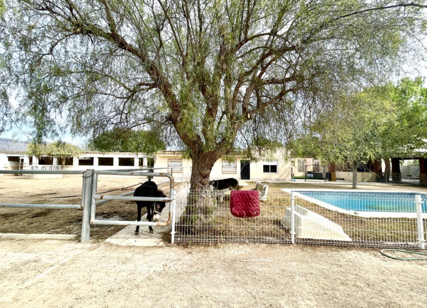 Resale - Farm Estate / Country Property - Orihuela