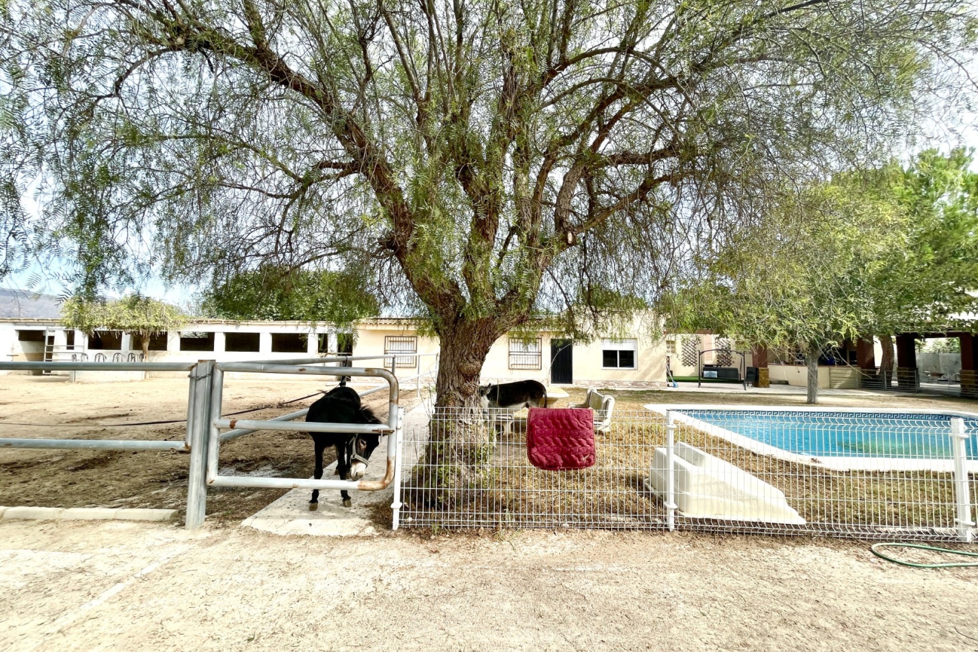 Resale - Farm Estate / Country Property - Orihuela
