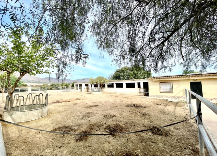 Resale - Farm Estate / Country Property - Orihuela