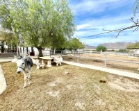 Resale - Farm Estate / Country Property - Orihuela