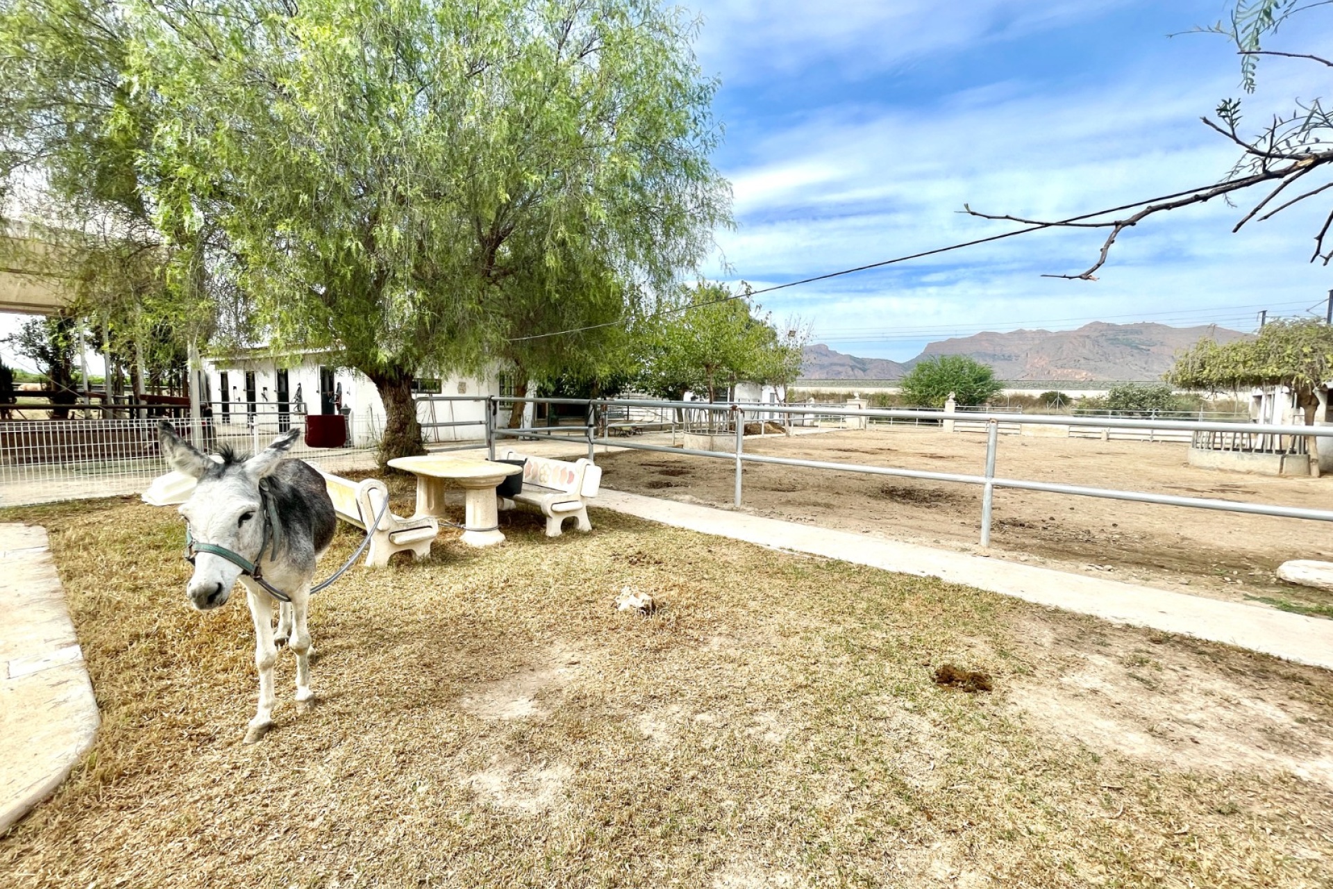 Resale - Farm Estate / Country Property - Orihuela