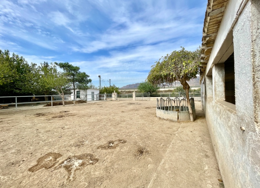 Resale - Farm Estate / Country Property - Orihuela