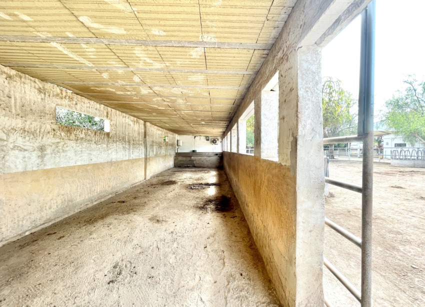 Resale - Farm Estate / Country Property - Orihuela