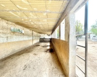 Resale - Farm Estate / Country Property - Orihuela