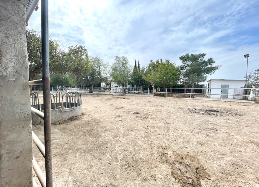 Resale - Farm Estate / Country Property - Orihuela