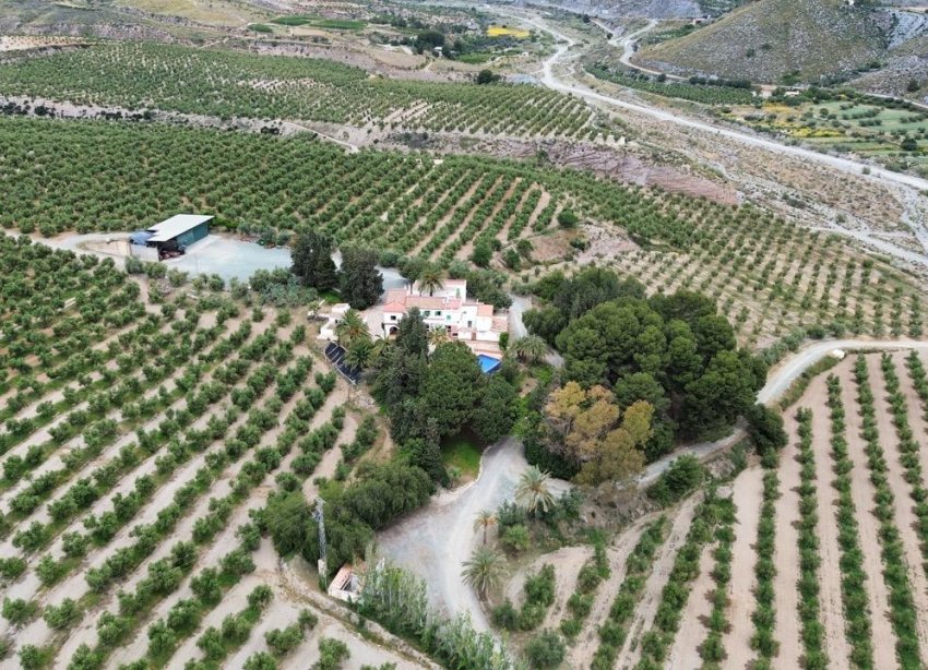 Resale - Farm Estate / Country Property - Puerto Lumbreras - Nogalte