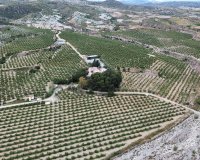 Resale - Farm Estate / Country Property - Puerto Lumbreras - Nogalte