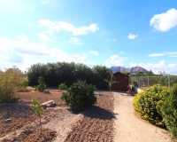 Resale - Farm Estate / Country Property - Rafal - El Mudamiento