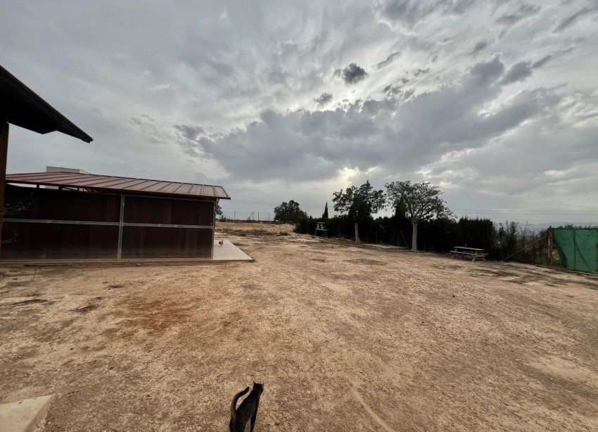 Resale - Farm Estate / Country Property - San Fulgencio - San Fulgencio - Country