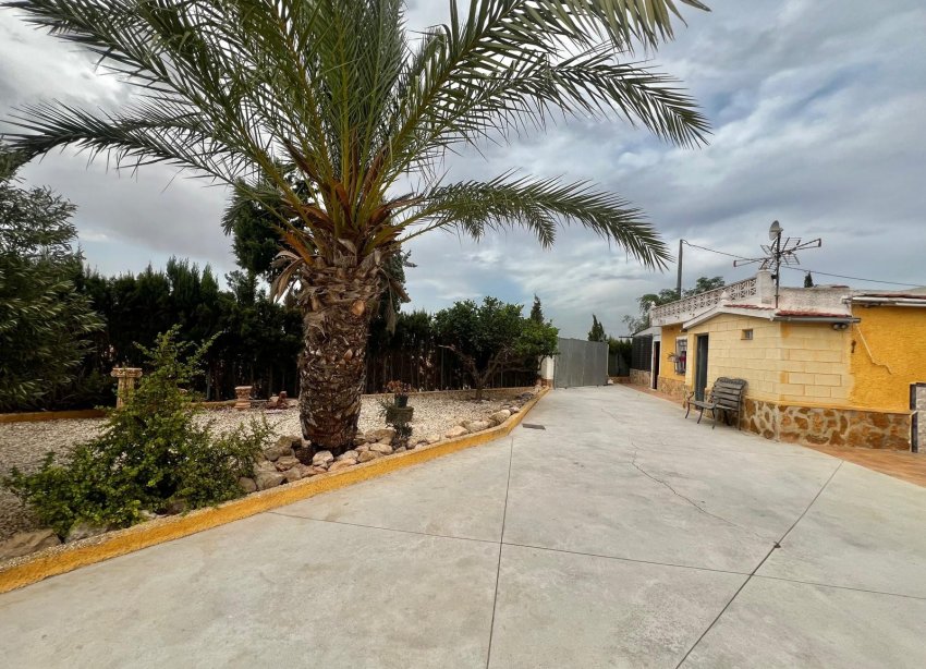 Resale - Farm Estate / Country Property - San Fulgencio - San Fulgencio - Country