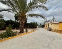 Resale - Farm Estate / Country Property - San Fulgencio - San Fulgencio - Country