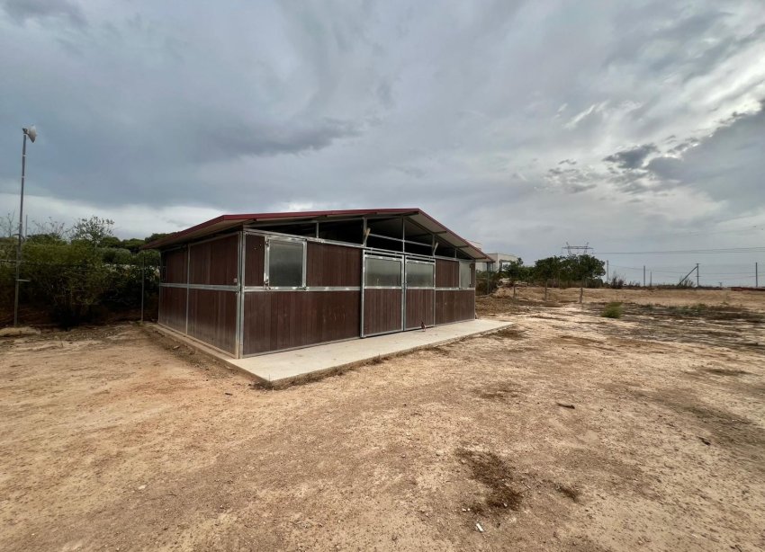 Resale - Farm Estate / Country Property - San Fulgencio - San Fulgencio - Country