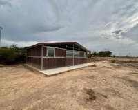 Resale - Farm Estate / Country Property - San Fulgencio - San Fulgencio - Country