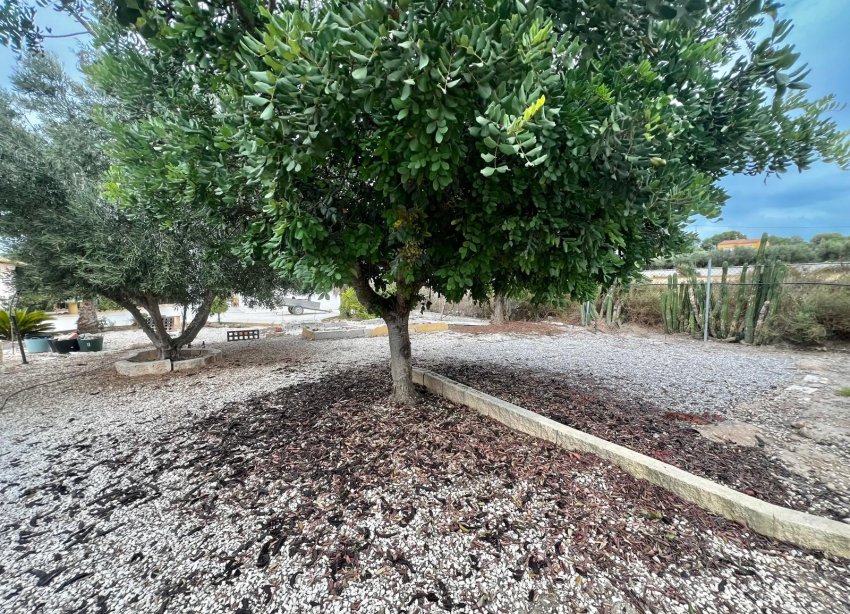 Resale - Farm Estate / Country Property - San Fulgencio - San Fulgencio - Country