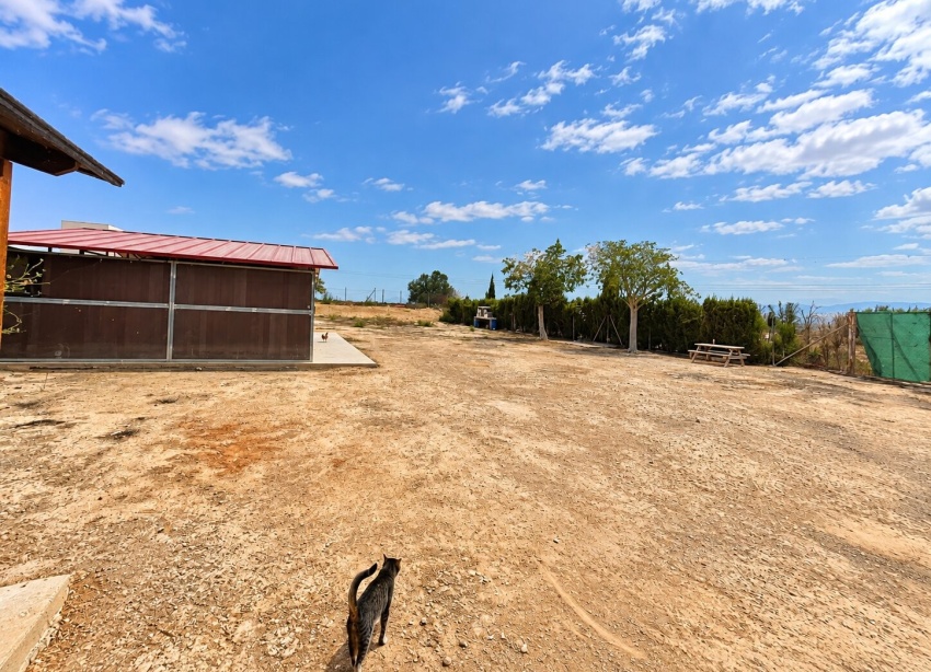 Resale - Farm Estate / Country Property - San Fulgencio - San Fulgencio - Country