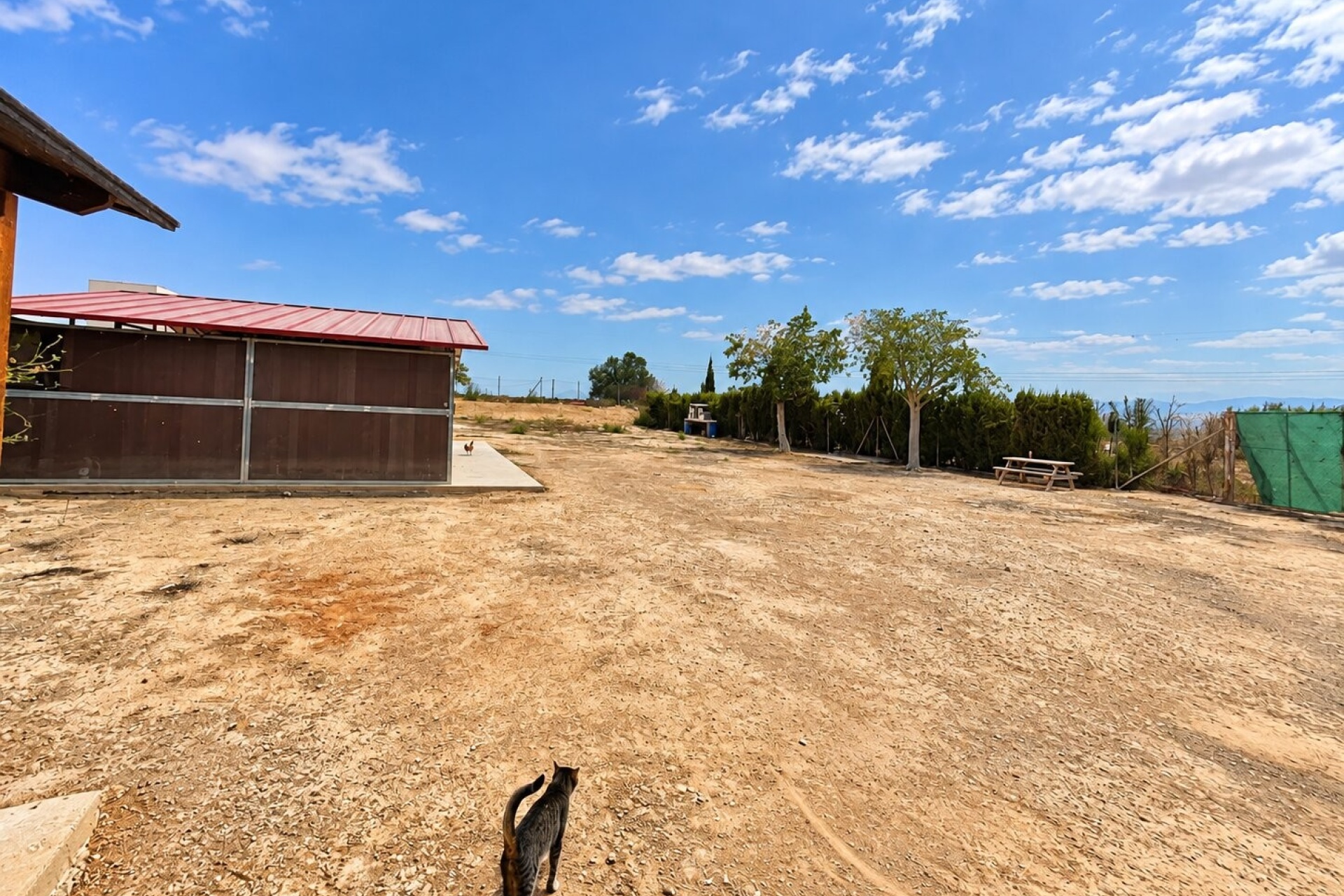 Resale - Farm Estate / Country Property - San Fulgencio - San Fulgencio - Country