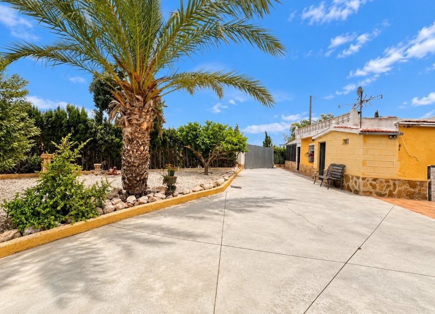 Resale - Farm Estate / Country Property - San Fulgencio - San Fulgencio - Country