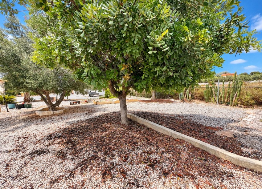 Resale - Farm Estate / Country Property - San Fulgencio - San Fulgencio - Country