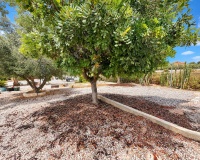 Resale - Farm Estate / Country Property - San Fulgencio - San Fulgencio - Country