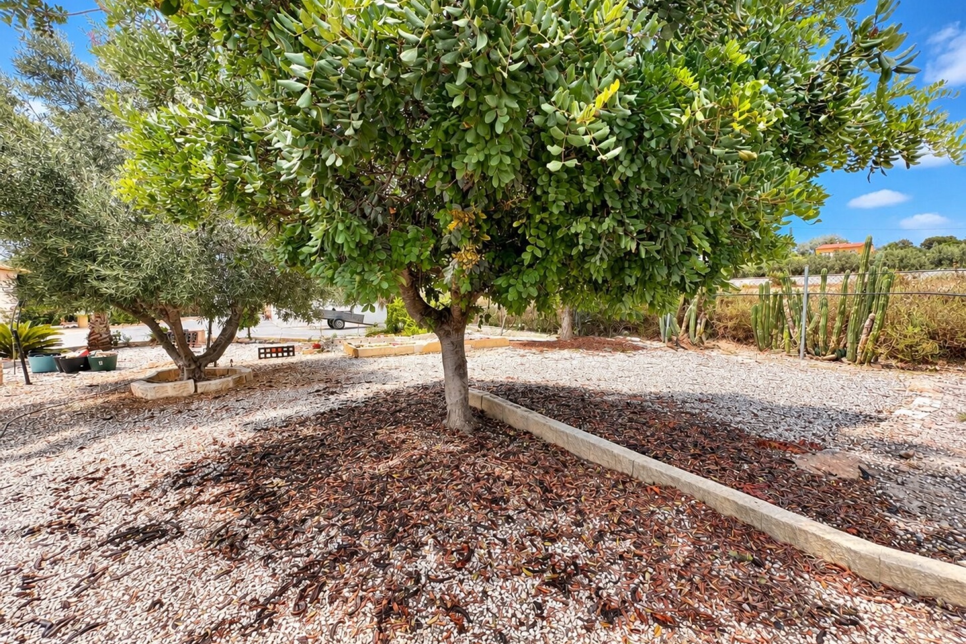 Resale - Farm Estate / Country Property - San Fulgencio - San Fulgencio - Country