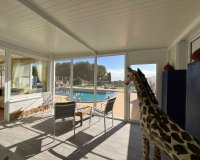 Resale - Farm Estate / Country Property - Torre Pacheco