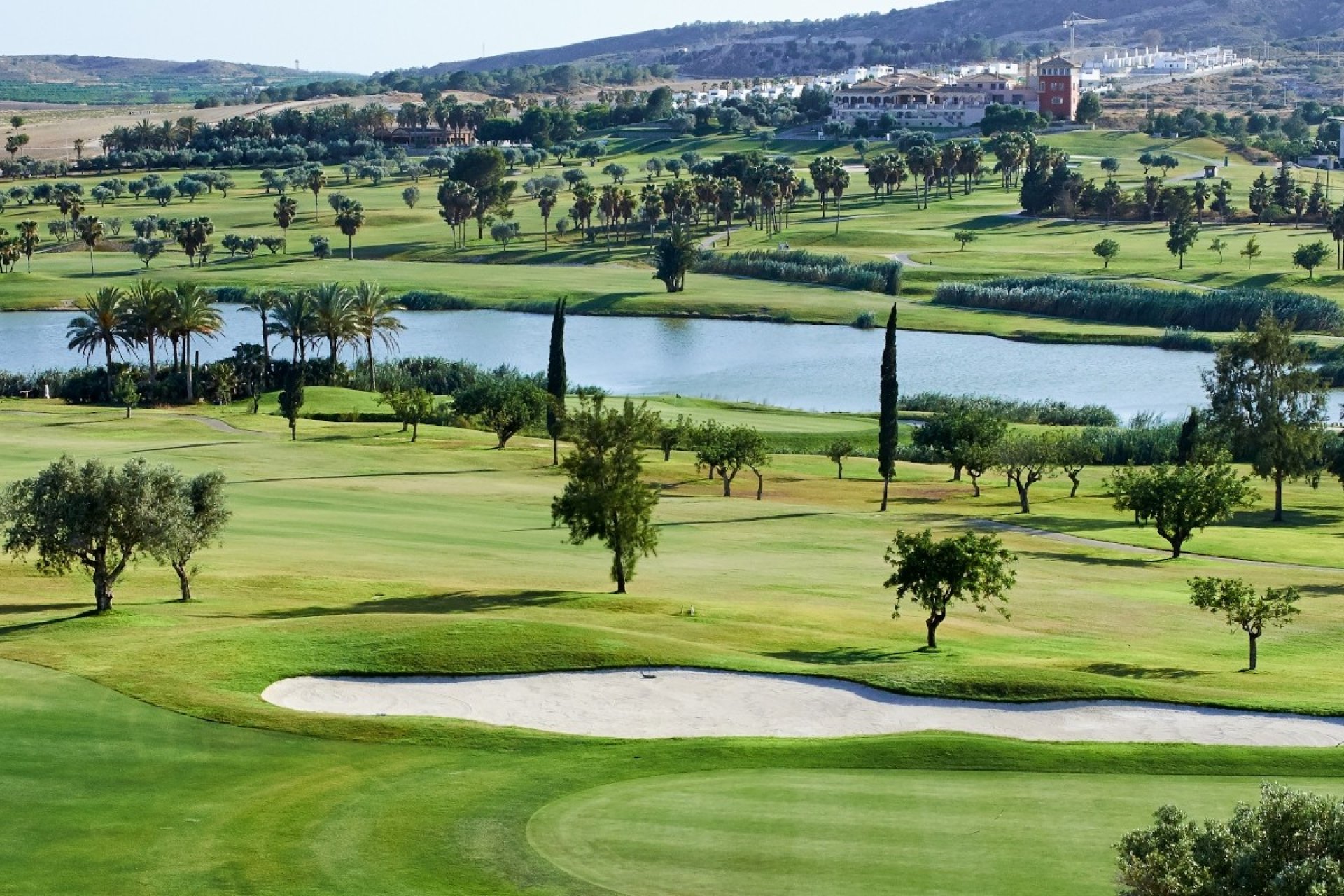 Resale - Land - Algorfa (montemar) - Algorfa