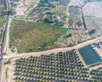 Resale - Land - Crevillent - Comunidad valenciana