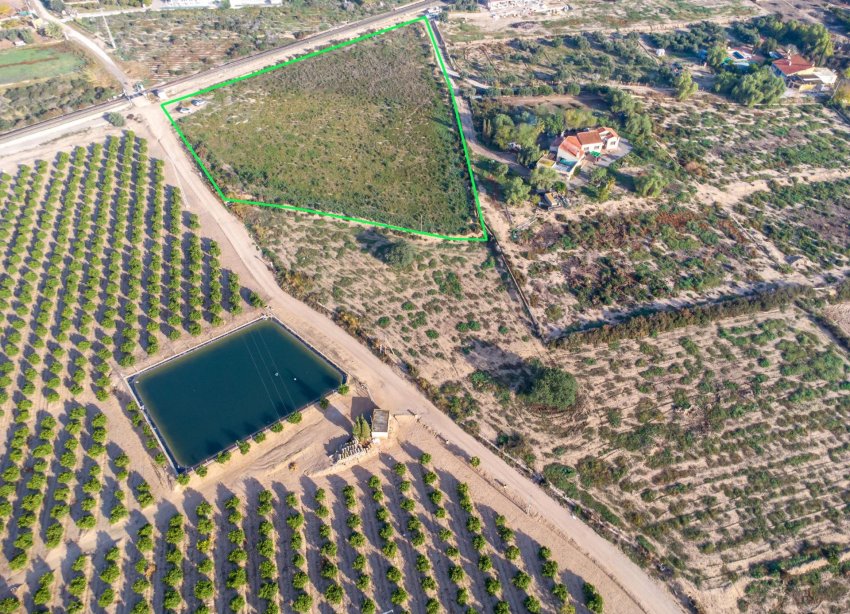 Resale - Land - Crevillent - Comunidad valenciana