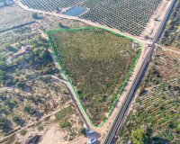 Resale - Land - Crevillent - Comunidad valenciana