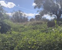 Resale - Land - Moratalla