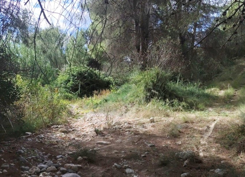Resale - Land - Moratalla