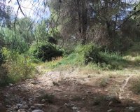 Resale - Land - Moratalla