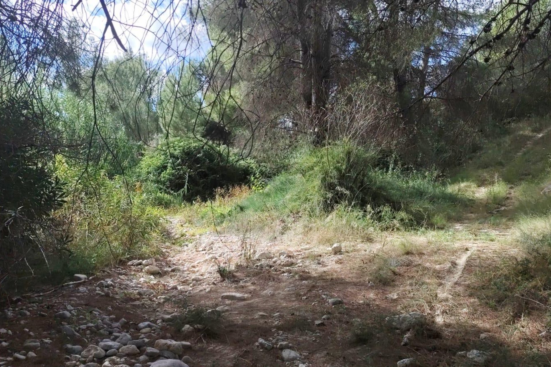 Resale - Land - Moratalla