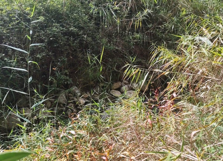 Resale - Land - Moratalla