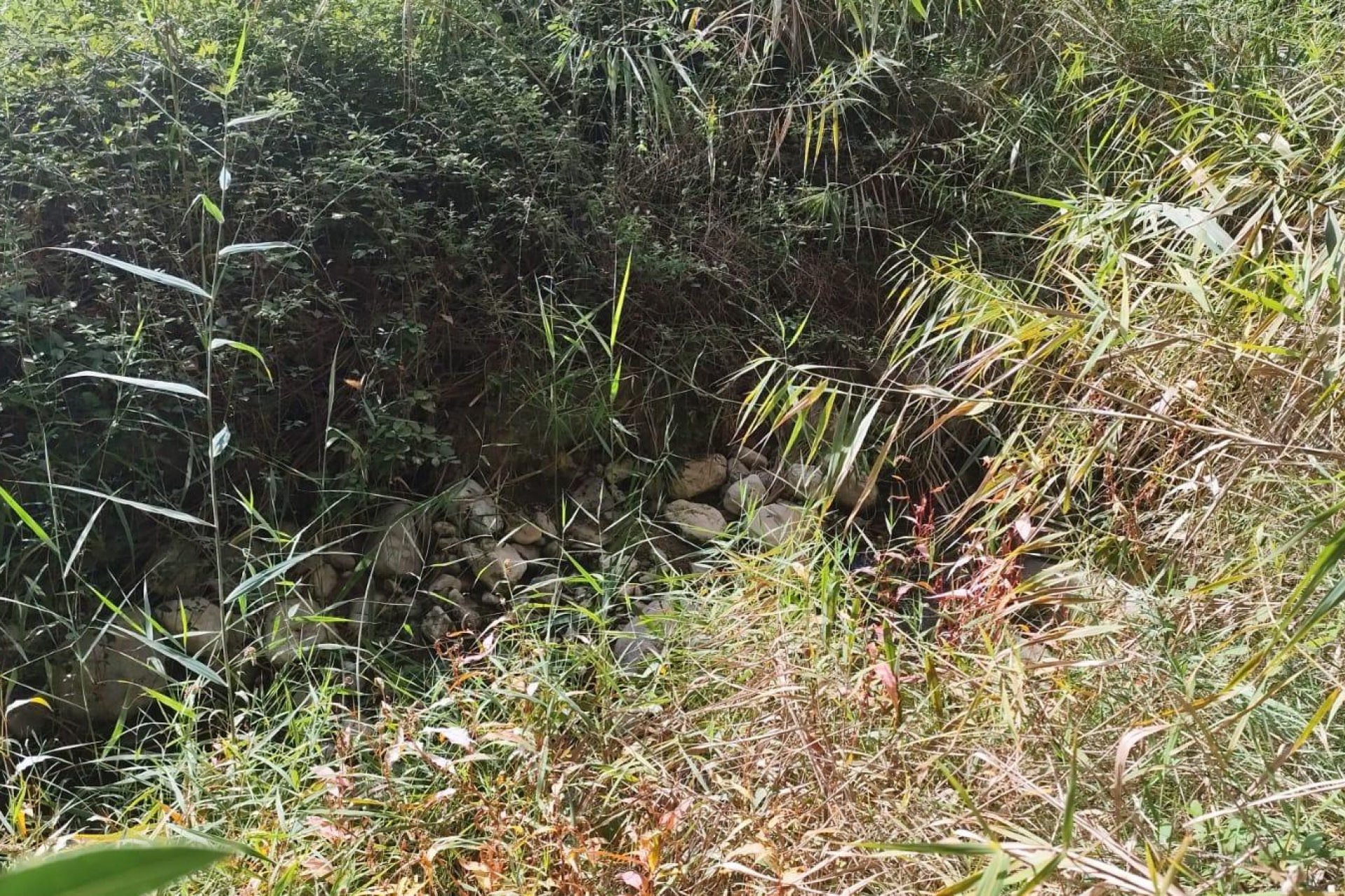 Resale - Land - Moratalla