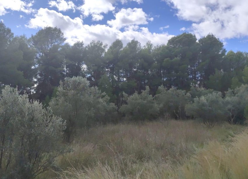 Resale - Land - Moratalla