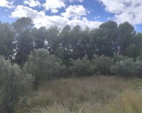 Resale - Land - Moratalla