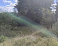 Resale - Land - Moratalla