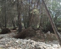 Resale - Land - Moratalla