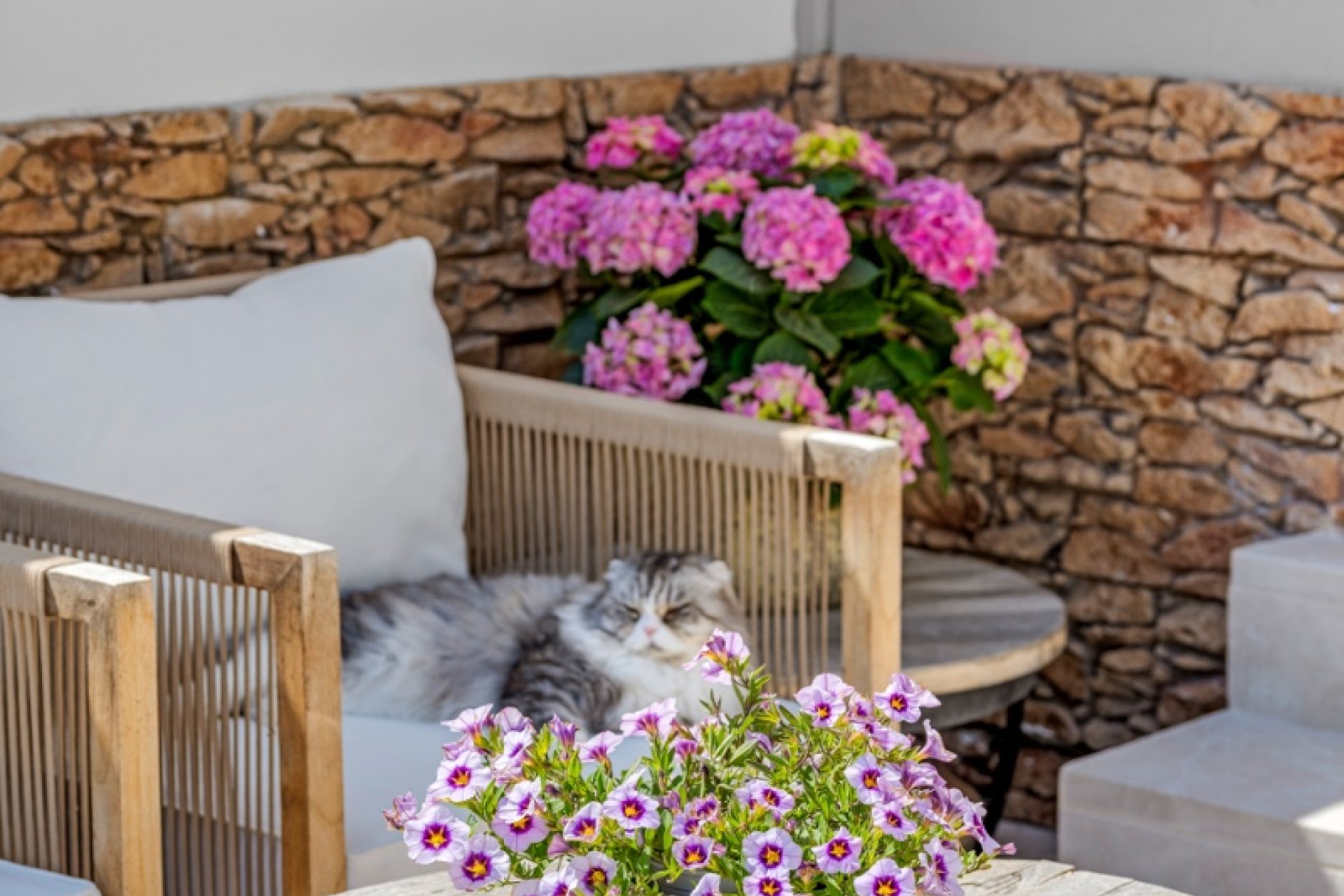 Resale - Terraced house / Townhouse - Alicante - Playa San Juan