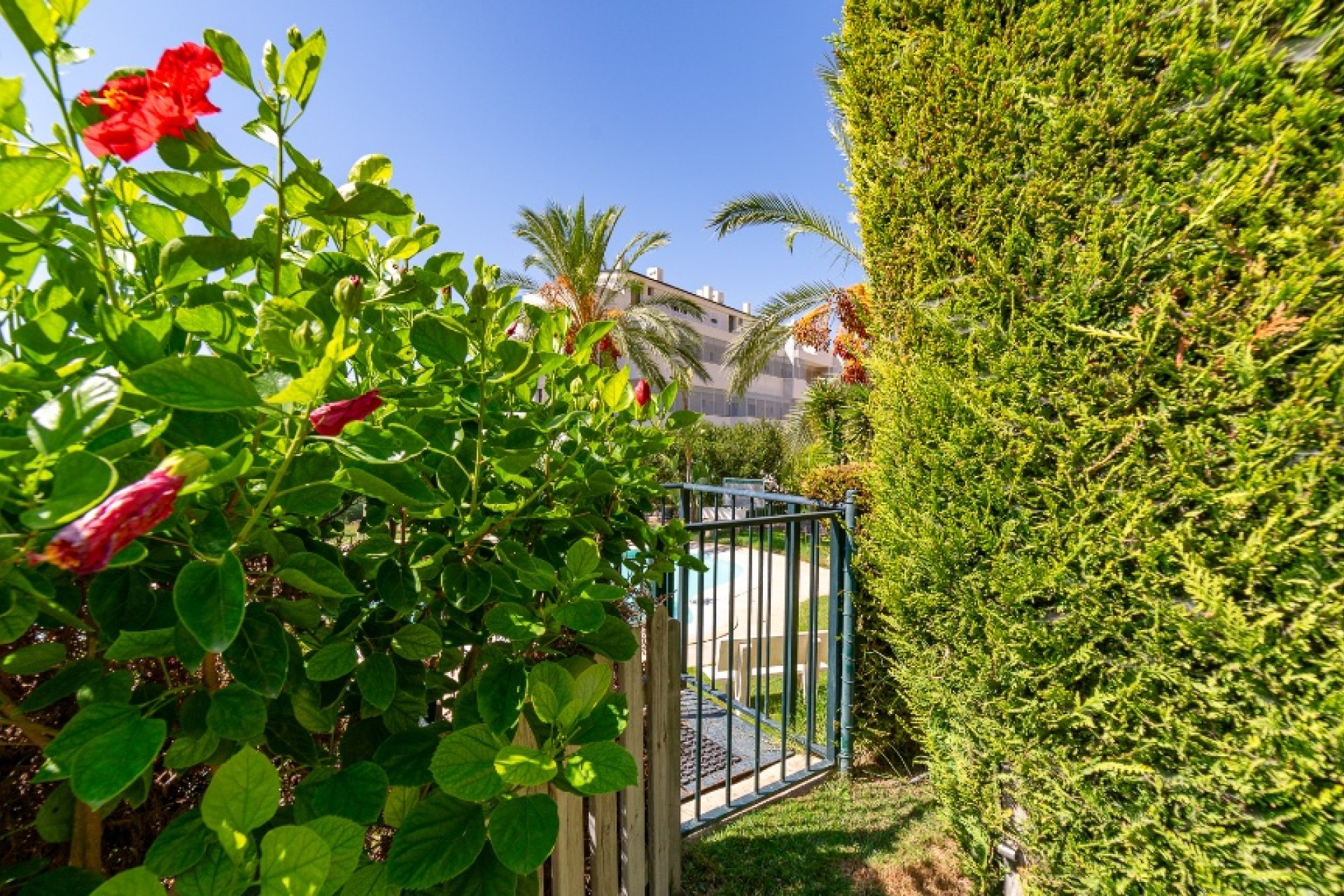 Resale - Terraced house / Townhouse - Benidorm - Finestrat