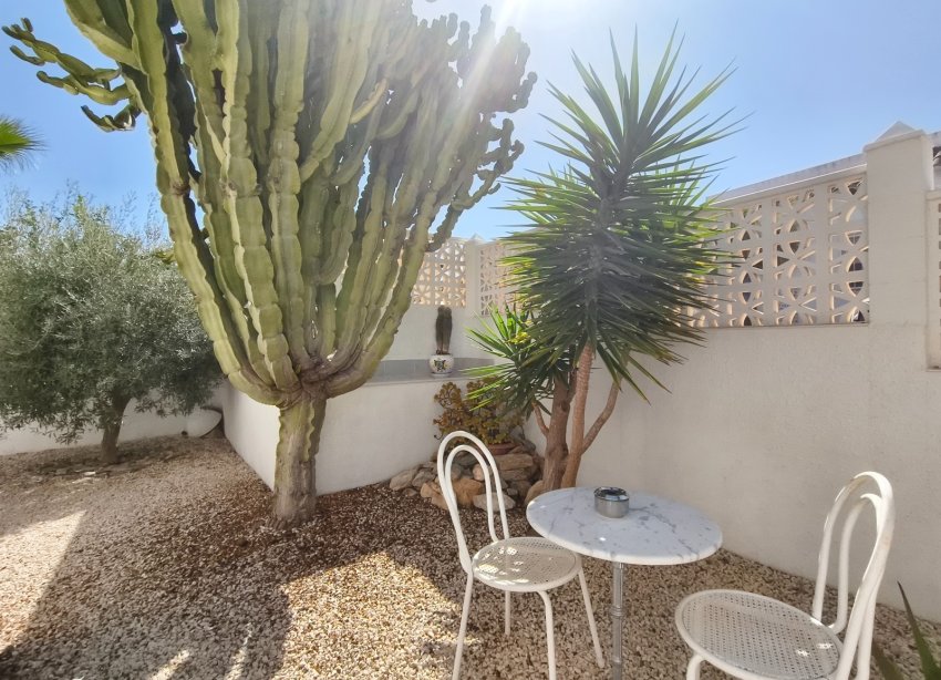 Resale - Terraced house / Townhouse - San Miguel de Salinas - BLUE LAGOON
