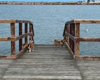 Resale - Terraced house / Townhouse - San Pedro del Pinatar - Los Antolinos