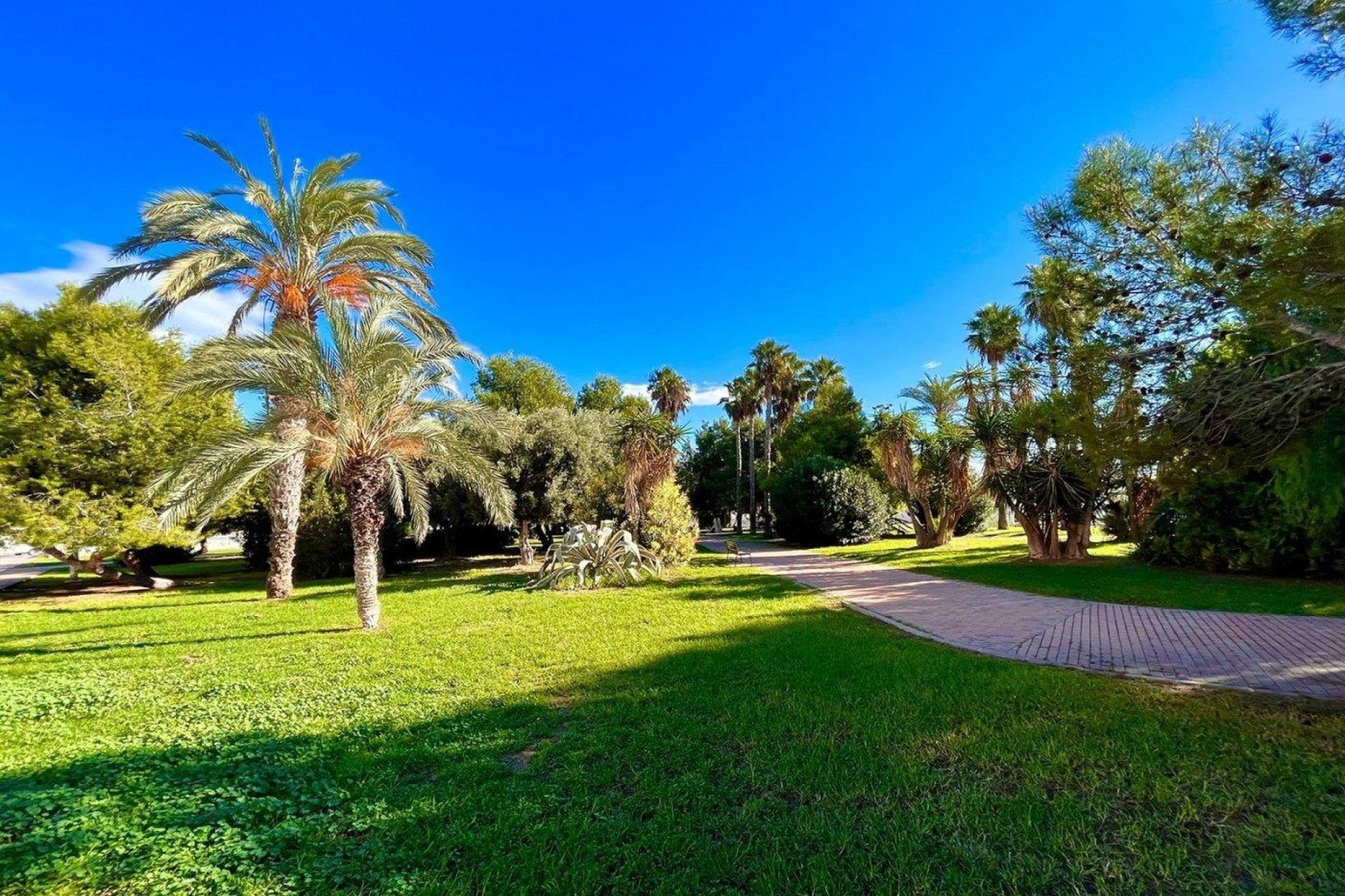 Resale - Terraced house / Townhouse - Torrevieja - Calas blanca