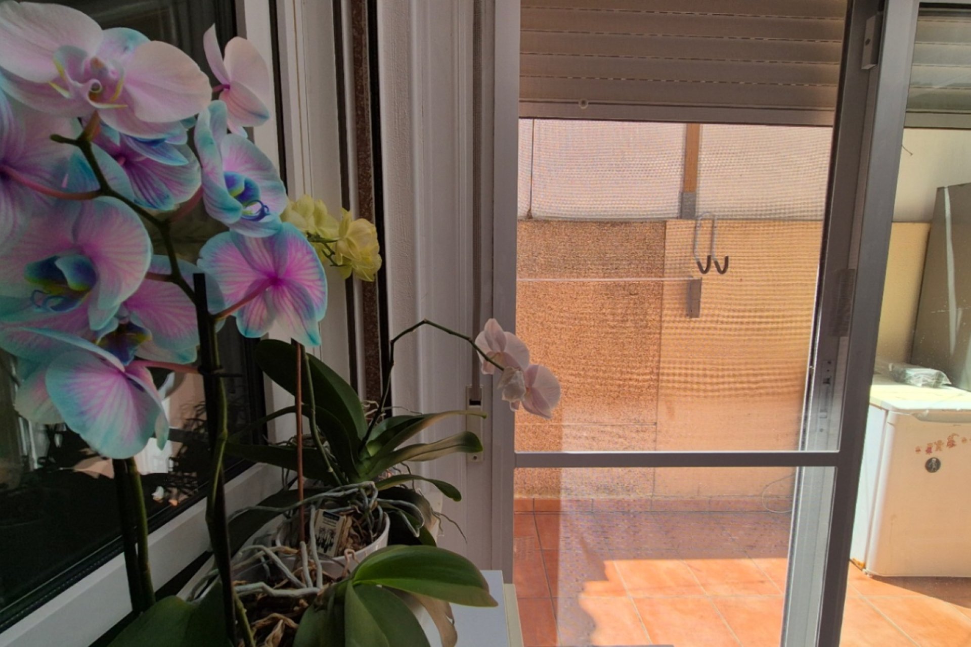 Resale - Terraced house / Townhouse - Torrevieja - Costa Blanca