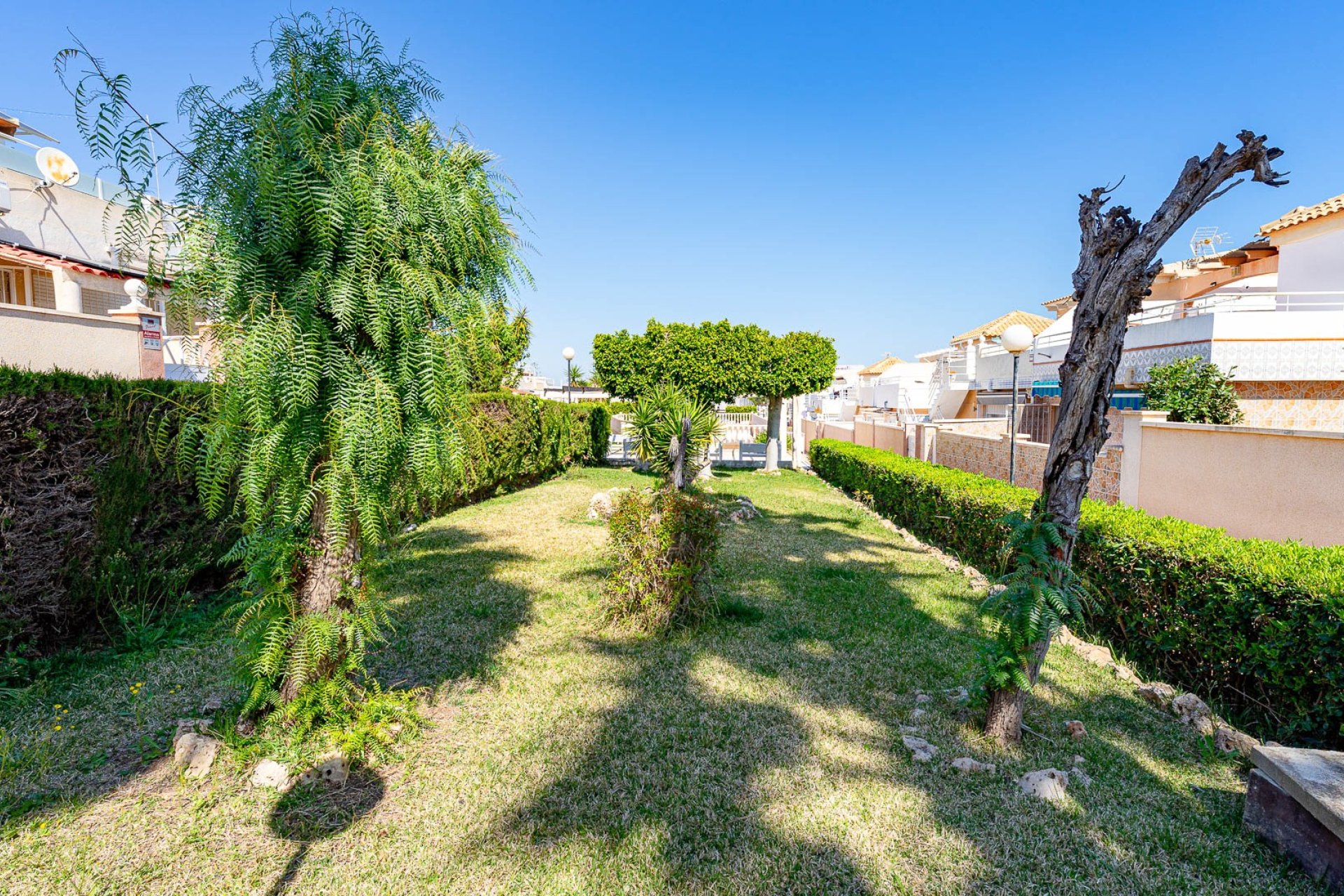 Resale - Terraced house / Townhouse - Torrevieja - Los Altos