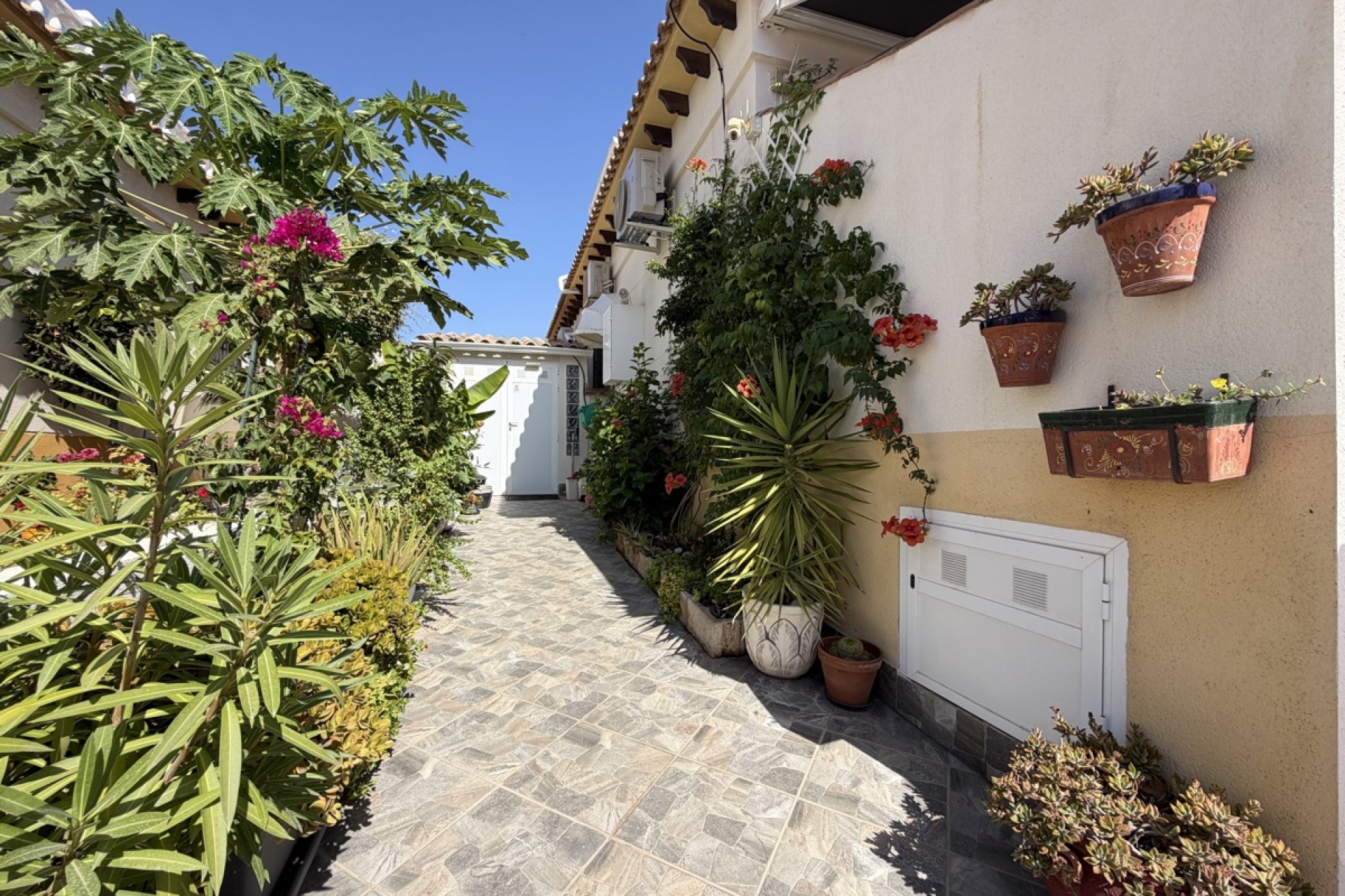 Resale - Terraced house / Townhouse - Torrevieja - Los Altos