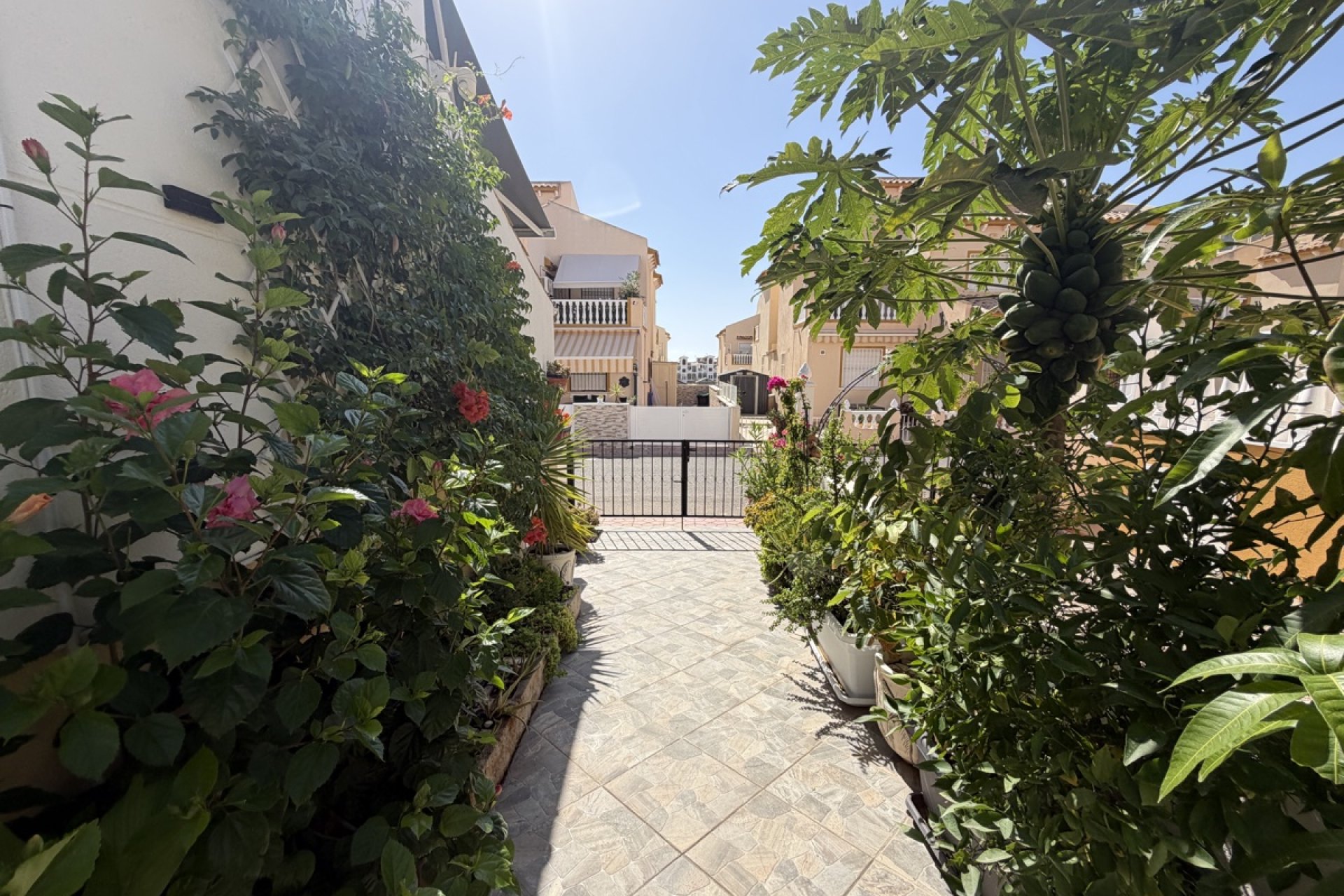 Resale - Terraced house / Townhouse - Torrevieja - Los Altos