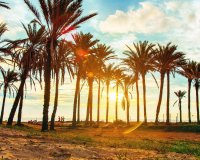 Resale - Terraced house / Townhouse - Torrevieja - Los Balcones