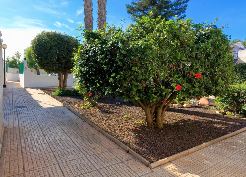 Resale - Town House - Torrevieja